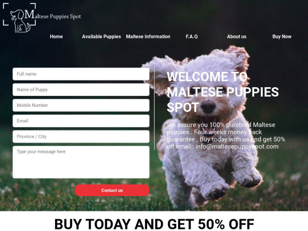 Maltesepuppyspot.com - Maltese Puppy Scam Review