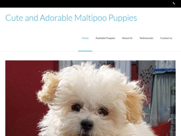 Maltipoobreedershome.com - Maltipoo Puppy Scam Review