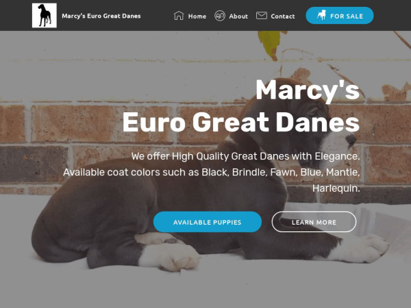 Marcyseurogreatdanes.com - Great Dane Puppy Scam Review