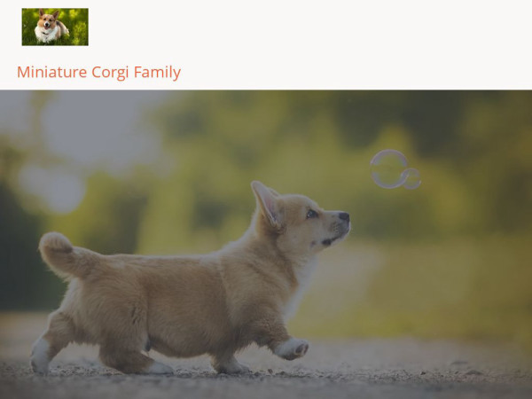 Miniaturecorgifamily.com - Corgi Puppy Scam Review