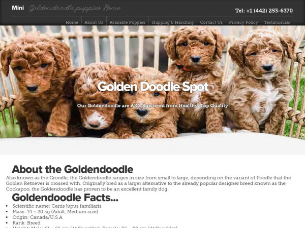 Minigoldendoodlepuppies.us - Golden Doodle Puppy Scam Review