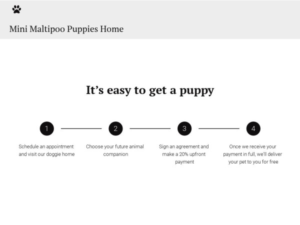 Minimaltipoopuppieshome.com - Maltipoo Puppy Scam Review