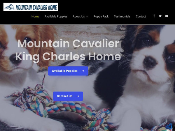 Mkingcharles.com - Cavalier King Charles Spaniel Puppy Scam Review