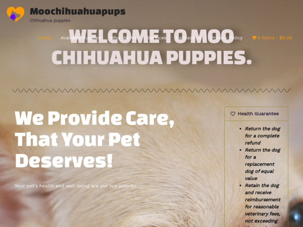 Moochihuahuapups.com - Chihuahua Puppy Scam Review