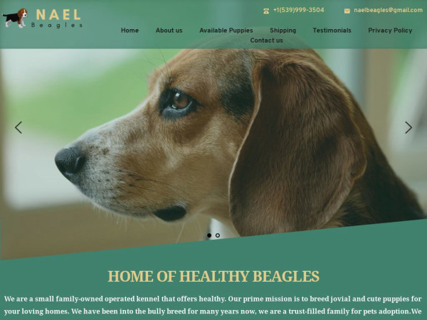 Naelbeagles.com - Beagle Puppy Scam Review