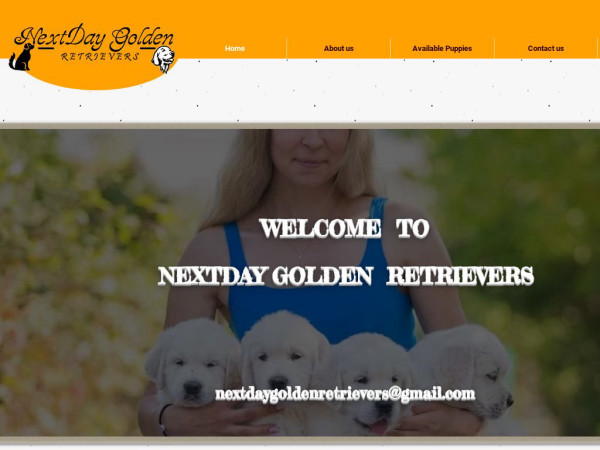 Nextdaygoldenretrievers.com - Golden Retriever Puppy Scam Review