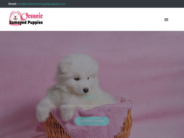 Oceanicsamoyedpuppies.com - Samoyed Puppy Scam Review