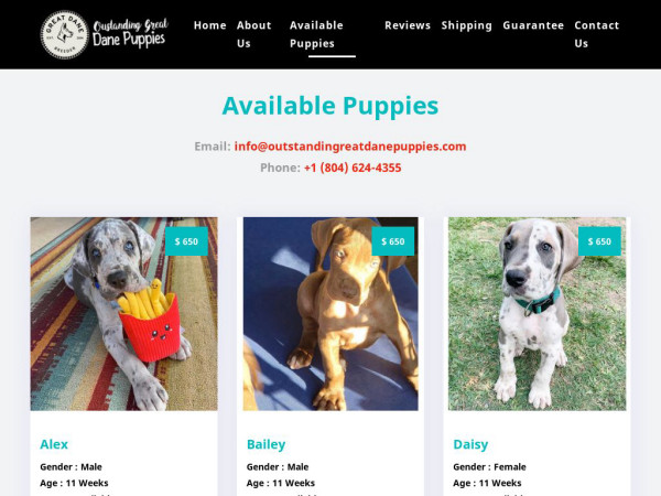 Outstandingreatdanepuppies.com - Great Dane Puppy Scam Review