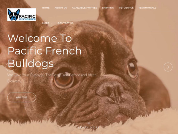 Pacificfrenchbulldong.com - French Bulldog Puppy Scam Review