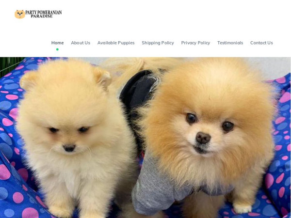 Partypomeranianparadise.com - Pomeranian Puppy Scam Review