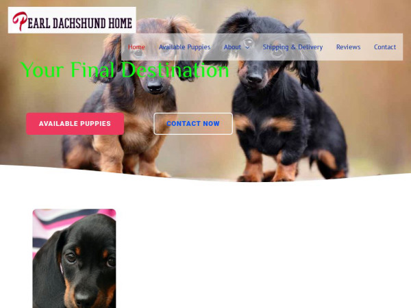 Pearldachshundhome.com - Dachshund Puppy Scam Review