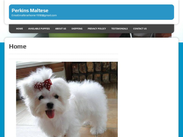 Perkinsmaltese.com - Maltese Puppy Scam Review