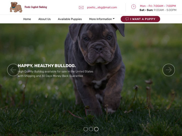 Poeticenglishbulldog.com - English Bulldog Puppy Scam Review