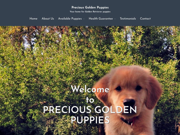 Preciousgoldenpuppies.com - Golden Retriever Puppy Scam Review