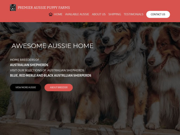 Premieraussiepuppyfarms.com - Australian Shepherd Puppy Scam Review