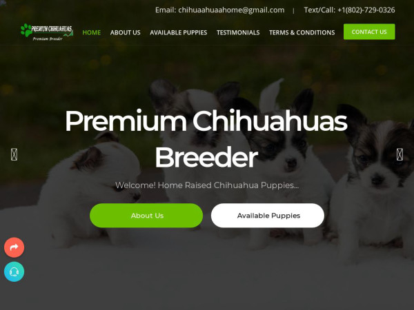 Premiumchihuahua.com - Chihuahua Puppy Scam Review