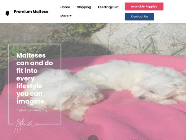 Premiummaltese.com - Maltese Puppy Scam Review