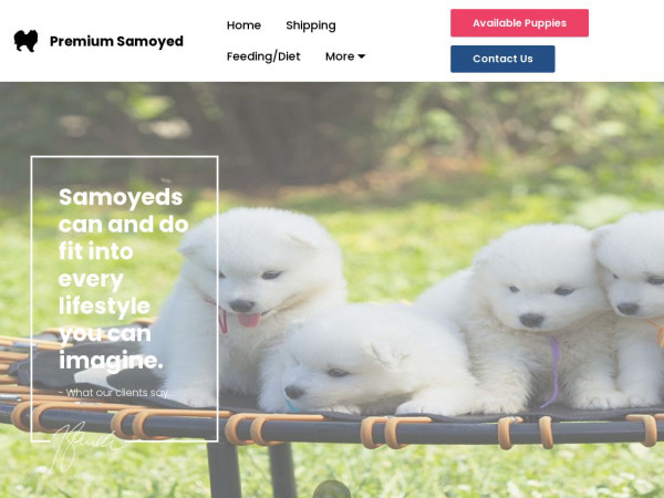 Premiumsamoyeds.com - Samoyed Puppy Scam Review