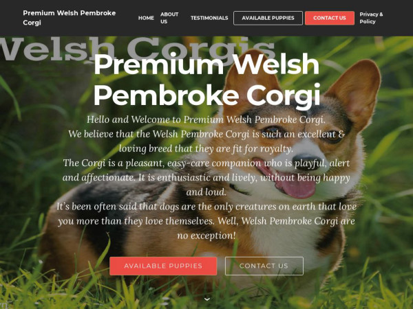 Premiumwelshpembrokecorgi.com - Corgi Puppy Scam Review