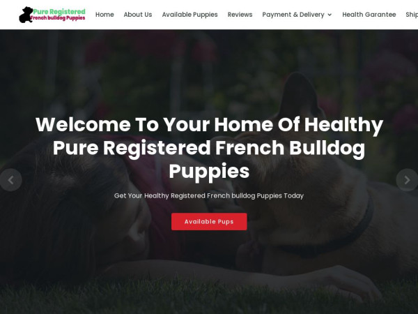 Pure-registeredfrenchbulldogpups.com - French Bulldog Puppy Scam Review