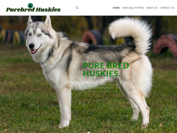 Purebredsiberianhusky.com - Husky Puppy Scam Review