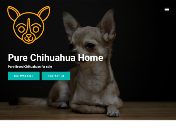 Purechihuahuahome.com - Chihuahua Puppy Scam Review