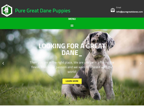 Puregreatdanes.com - Great Dane Puppy Scam Review