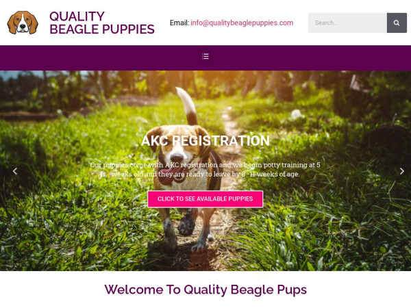 Qualitybeaglepuppies.com - Beagle Puppy Scam Review