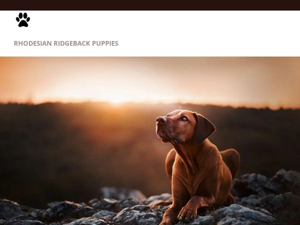 Rhodesianridgebackpuppieshome.com - Rhodesian Ridgeback Puppy Scam Review