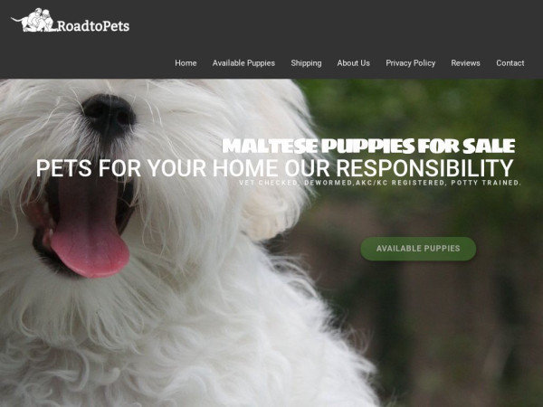 Roadtopets.com - Maltese Puppy Scam Review