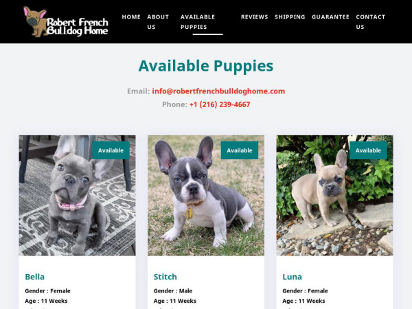 Robertfrenchbulldoghome.com - French Bulldog Puppy Scam Review