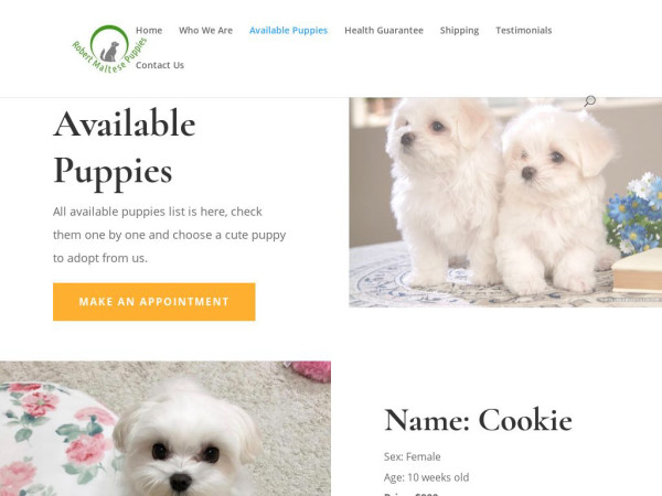 Robertmaltesepuppies.com - Maltese Puppy Scam Review