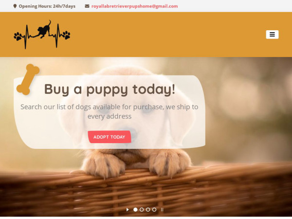 Royallabretrieverpupshome.com - Golden Retriever Puppy Scam Review