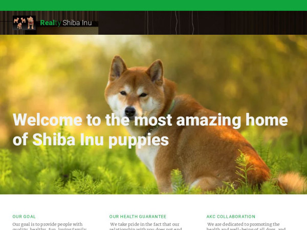 Rshibaunupuppieshome.com - Shibhainu Puppy Scam Review