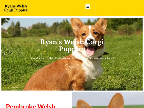 Ryanswelshcorgipuppies.com - Corgi Puppy Scam Review