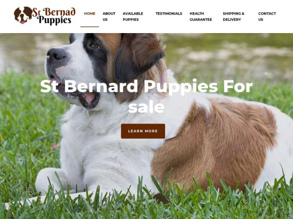 Saintbernardpuppiesforsale.com - Saint Bernard Puppy Scam Review