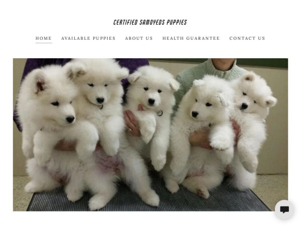 Samoyedspuppies.com - Samoyed Puppy Scam Review