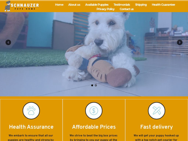 Schnauzerpupshome.com - Schnauzer Puppy Scam Review