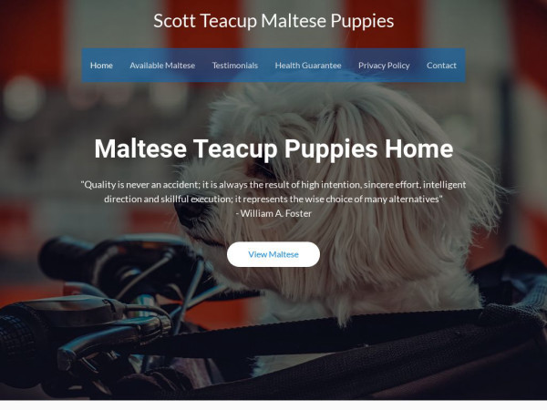 Scottteacupmaltesepuppies.com - Maltese Puppy Scam Review