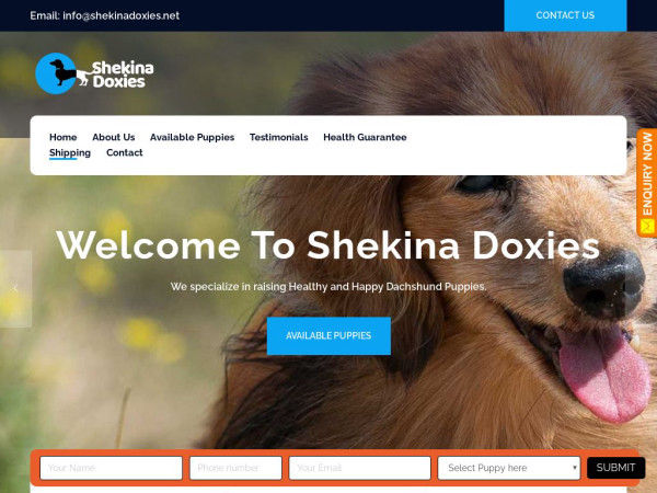 Shekinadoxies.net - Dachshund Puppy Scam Review