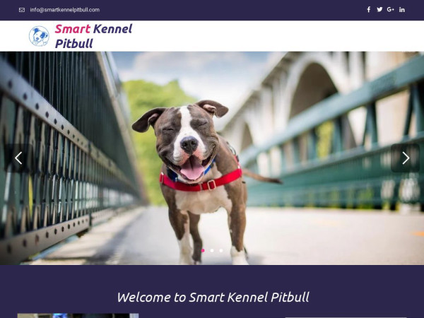 Smartkennelpitbull.com - Pit Bull Puppy Scam Review