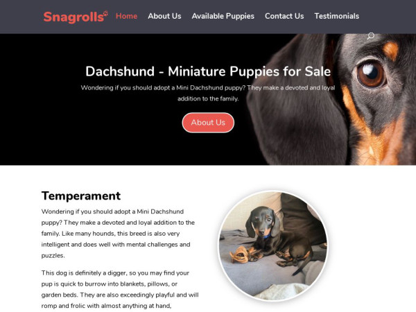 Snagrolls.com - Dachshund Puppy Scam Review