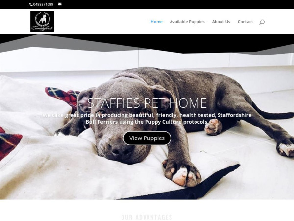 Staffiespethome.com - Terrier Puppy Scam Review