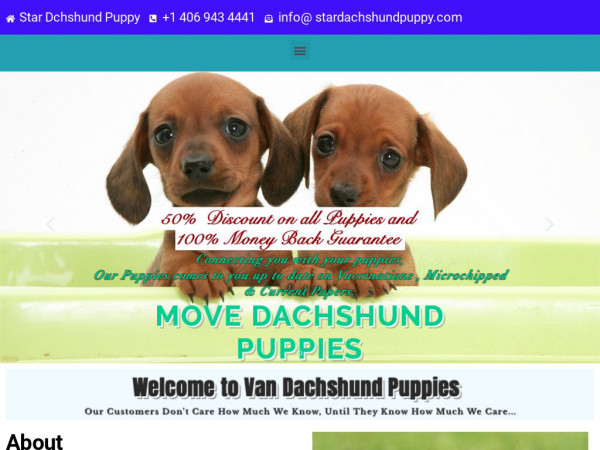 Stardachshundpuppy.com - Dachshund Puppy Scam Review