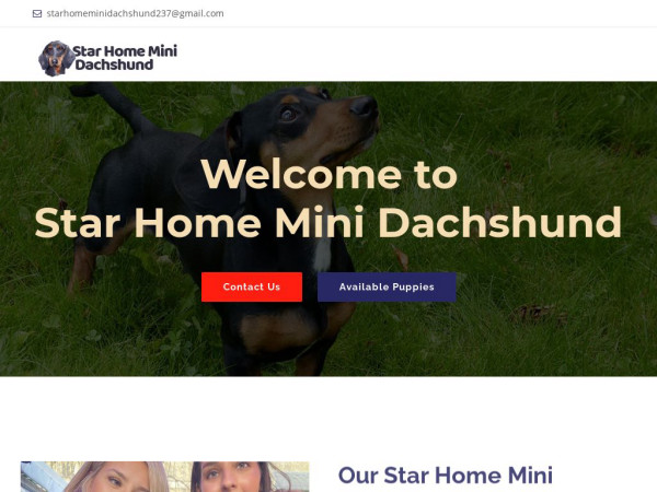 Starhomeminidachshund.com - Dachshund Puppy Scam Review