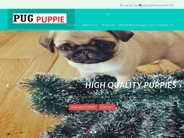 Strongpuppies.com - Pug Puppy Scam Review