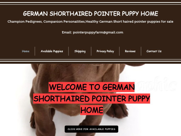 Supremegsp.com - Germanshepherd Puppy Scam Review