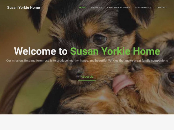 Susanyorkiehome.com - Yorkshire Terrier Puppy Scam Review