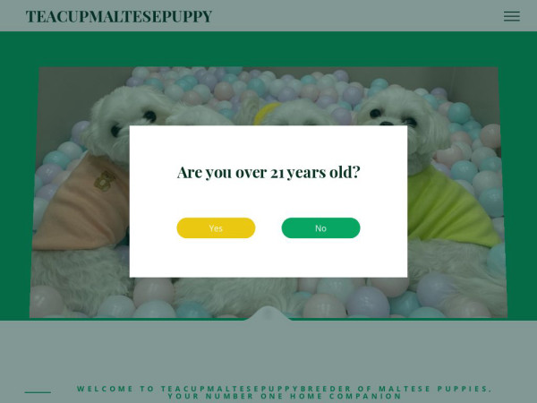 Teacupmaltesepuppybreeder.com - Maltese Puppy Scam Review