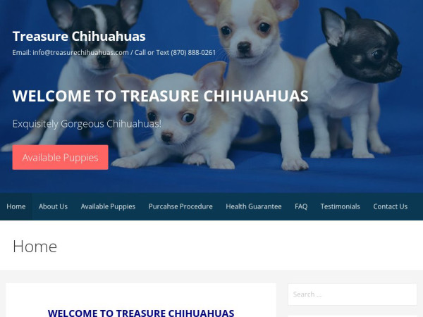 Treasurechihuahuas.com - Chihuahua Puppy Scam Review